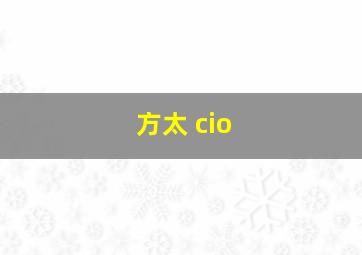 方太 cio